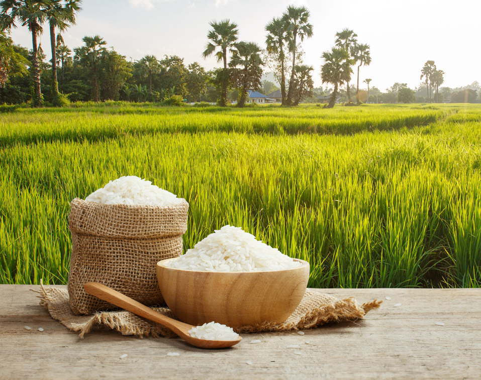 Basmati Rice